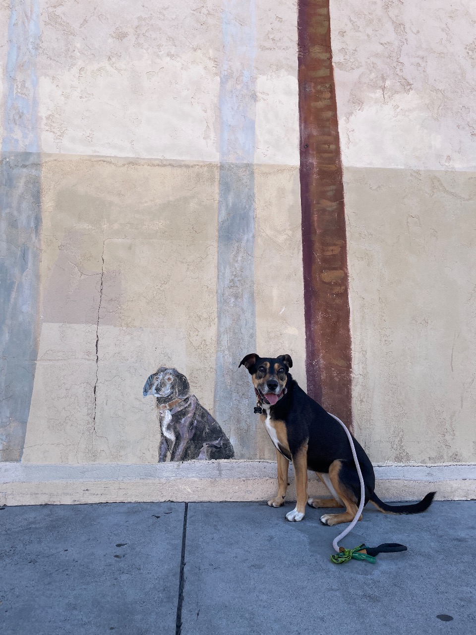 Puzzling Adventures near San Diego